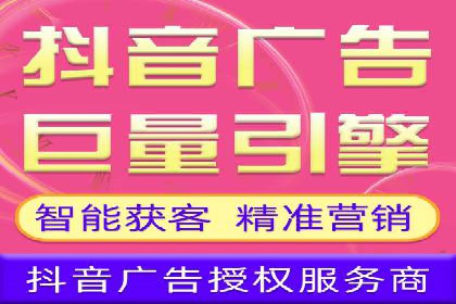 竞价广告的深度解析：以一知名品牌为例